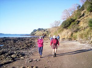 Image of duder05duderbeach3.jpg