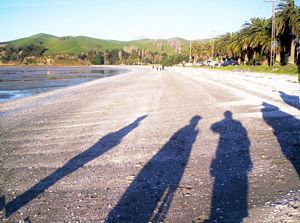 Image of duder05dudersbeach.jpg