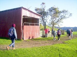 Image of duder05shed.jpg