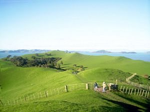 Image of duder05trigponui.jpg