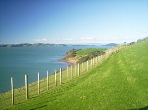 Image of duder05viewponui.jpg