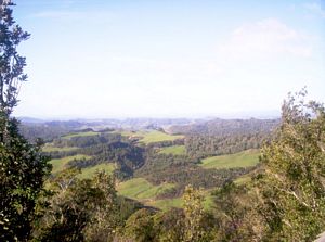 Image of dundle05satdundlevalley2.jpg