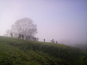 Image of dundle05satfirstpart3.jpg