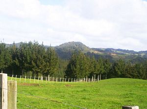 Image of dundle05satfirstviewdundlehill.jpg