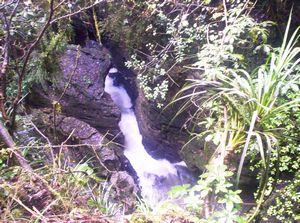 Image of dundle05satgorge.jpg