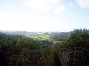 Image of dundle05satlunchview.jpg