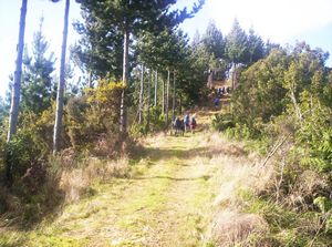 Image of dundle05satontrackafterloo2.jpg