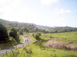 Image of dundle05satroadbash3.jpg