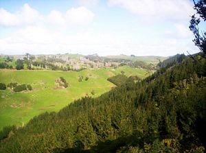 Image of dundle05sattumutumuvalley.jpg