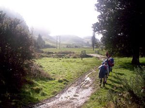 Image of dundle05sunfarm.jpg