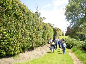 Image of easternbeachdec06ebtoclifftop.jpg