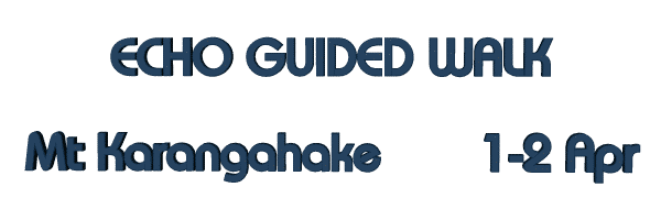 Image of echoguidedwalkmar23.gif