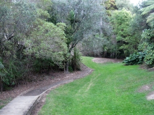 Image of ed track.jpg