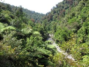 Image of ekaitunam.jpg