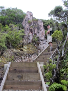 Image of endless steps up mt hobson.jpg
