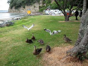 Image of endofyear09ddbread.jpg