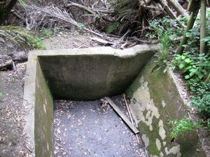 Image of endofyear09fqswearing.jpg