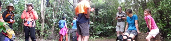 Image of endofyear16d.jpg