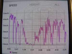 Image of endofyear16k.jpg