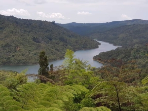 Image of endofyear19ab.jpg