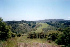 Image of endofyearbbq02farmview.jpg