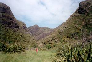 Image of endofyearbbq02pararahavalley.jpg