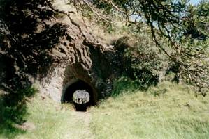 Image of endofyearbbq02tunnel.jpg