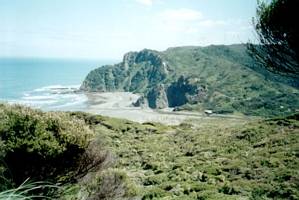 Image of endofyearbbq02viewkarekare.jpg