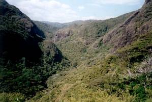 Image of endofyearbbq02viewpararahavalley.jpg