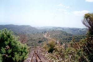 Image of endofyearbbq02walkerridgeview.jpg