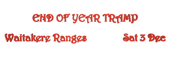 Image of endofyeartramp16.gif