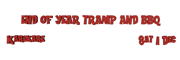 Image of enfofyeartrampbbq12.gif