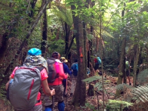 Image of erniesfeb15a.jpg