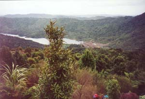 Image of erniesmangatawhirilake2.jpg