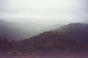 Image of erniesrain2.jpg