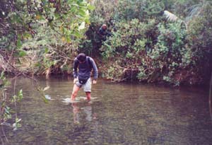 Image of erniesriverq.jpg