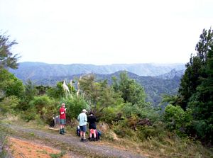 Image of erniestrackapr07cdbreak.jpg