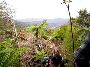 Image of erniestrackapr07eaview.jpg