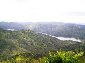 Image of erniestrackapr07icview.jpg