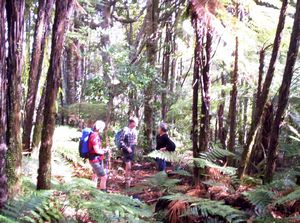 Image of erniestrackapr07iktrack.jpg