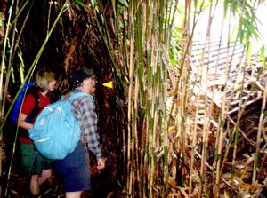 Image of erniestrackapr07jaoldhut.jpg