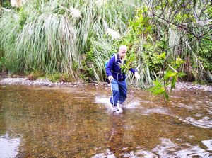 Image of erniestrackapr07kbstream.jpg