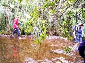 Image of erniestrackapr07kcstream.jpg