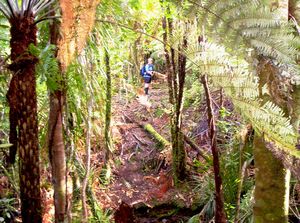 Image of erniestrackapr07kdtrack.jpg