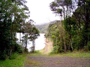 Image of erniestrackapr07lbeach.jpg