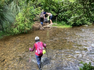 Image of erniestracknov21b.jpg