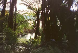 Image of ernieswaterlinerdq.jpg