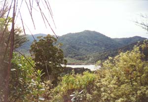 Image of ernieswaterlinerdviewq.jpg