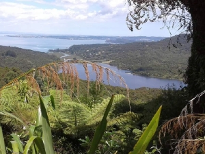 Image of exhibitiondrivefeb19c.jpg