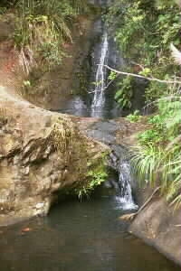 Image of fairyfalls4q.jpg